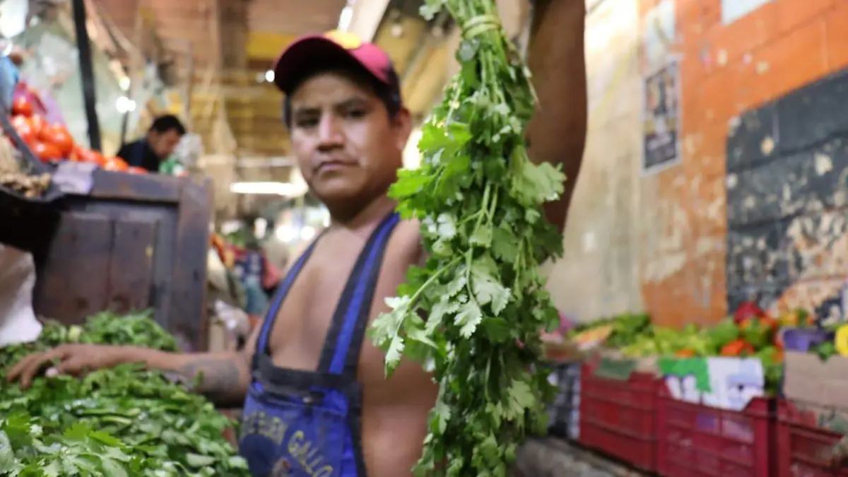 LUIS-F2V Carísimo el cilantro, brócoli y verdolagas (2)